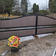 Load image into Gallery viewer, BRAND NEW Swan neck Shape Curve top iron and composite Gates With circles railheads